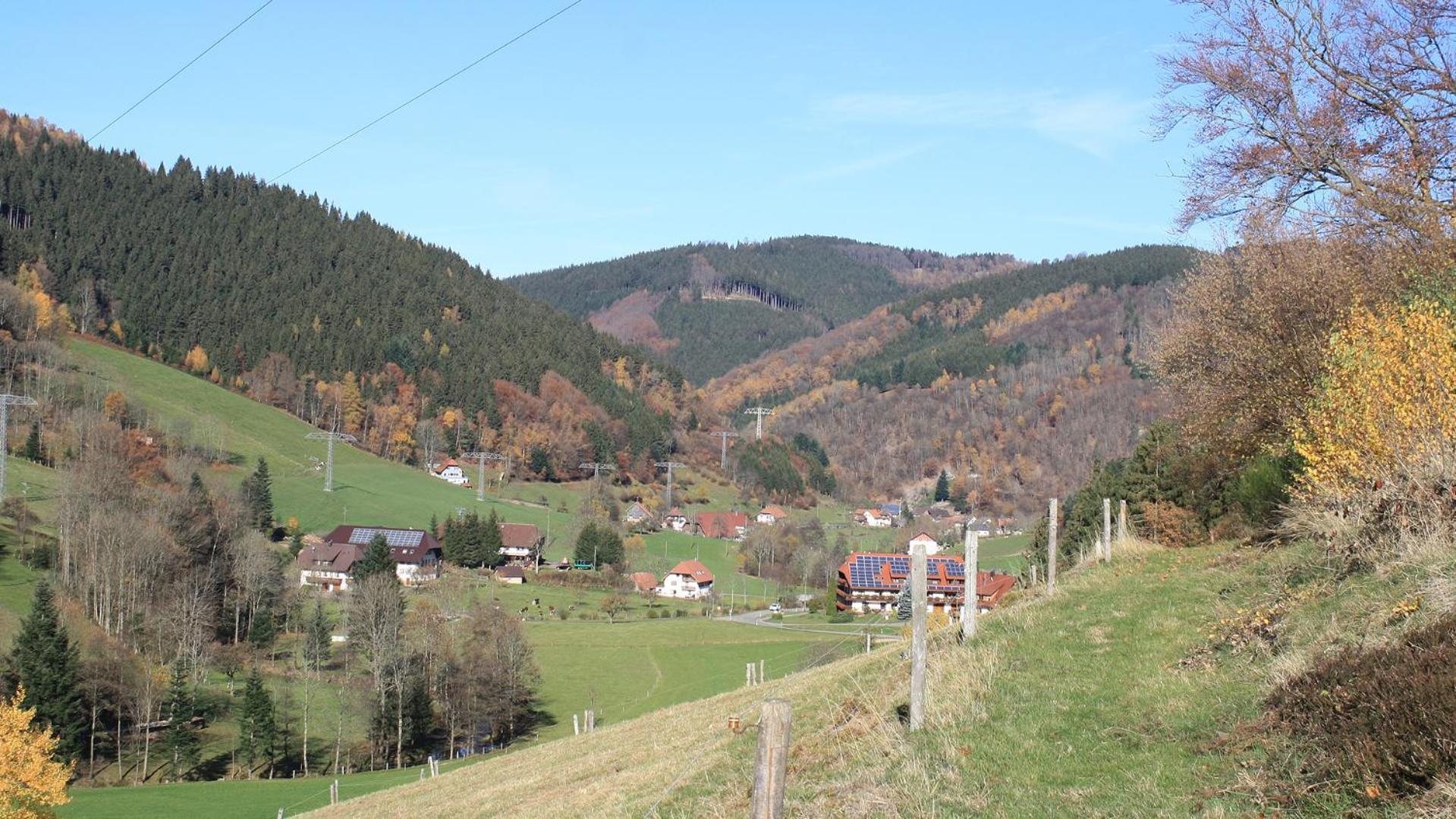 Grundhof Villa Oberprechtal Exterior photo