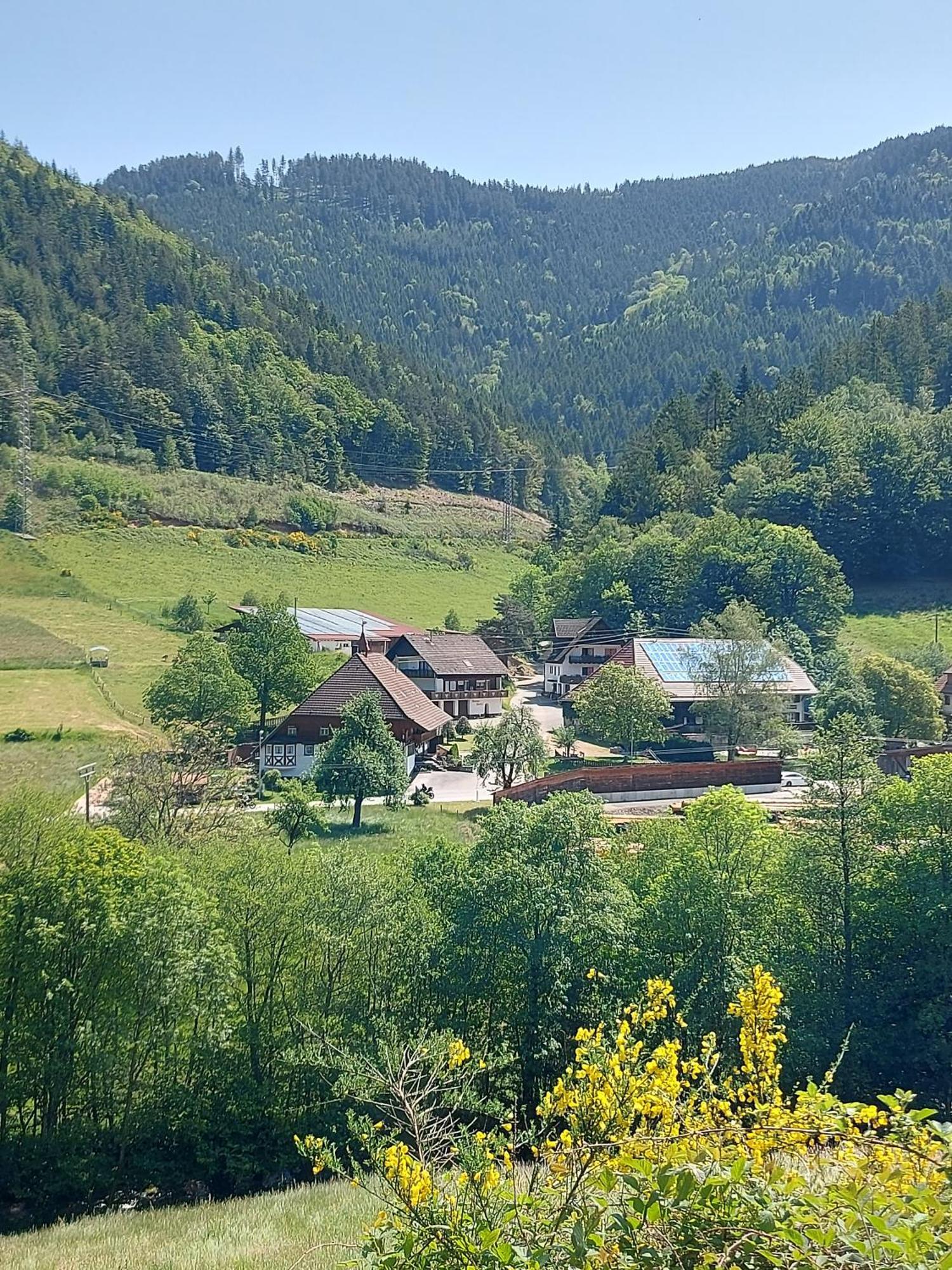 Grundhof Villa Oberprechtal Exterior photo